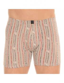 BOXER BORNAN